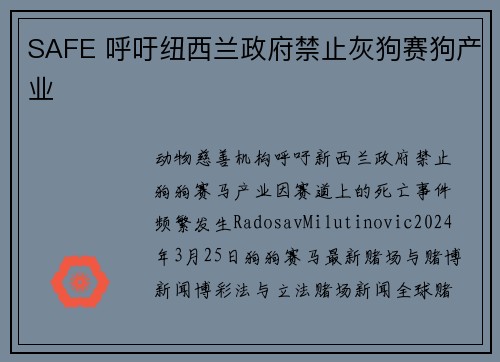 SAFE 呼吁纽西兰政府禁止灰狗赛狗产业