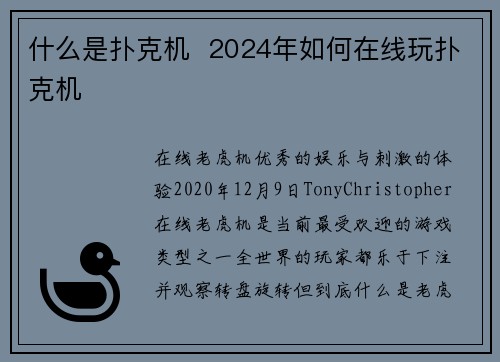 什么是扑克机  2024年如何在线玩扑克机